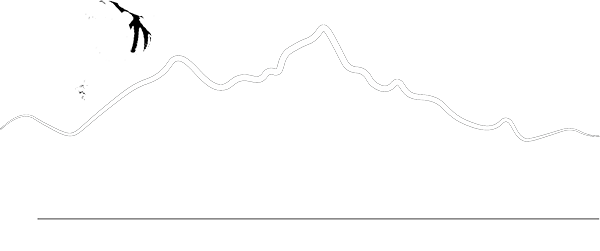 flying_wonders_logo